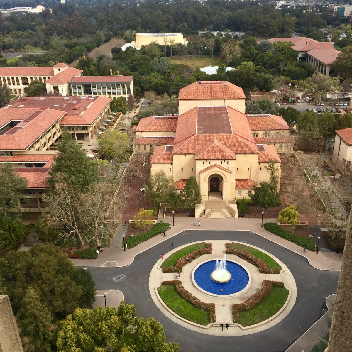 A Palo Alto Weekend Pick-Me-Up